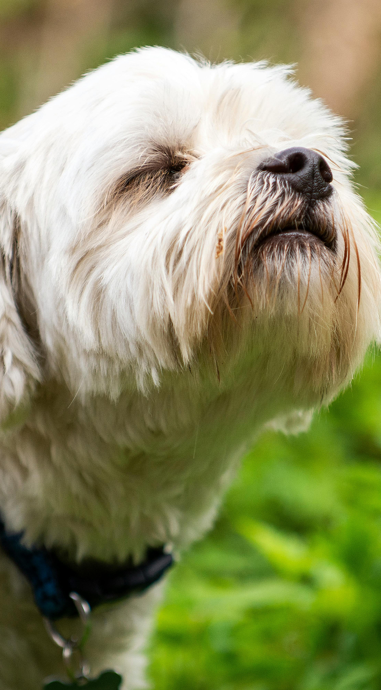 Faça Login em nosso site