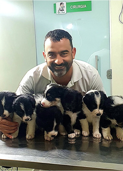 Veterinário Dr.Pet
